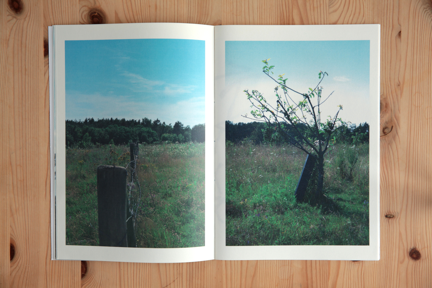 book pp 8-9